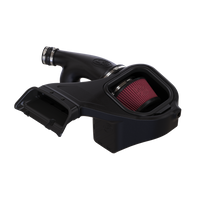 Cold Air Intake for 2015-2017 Ford F-150 2.7L, 3.5L Ecoboost