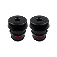 Body Mount Kit (2 pack)