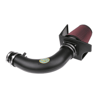 Cold Air Intake for 1997-2002 Ford F-150, 250, Expedition - DISCONTINUED